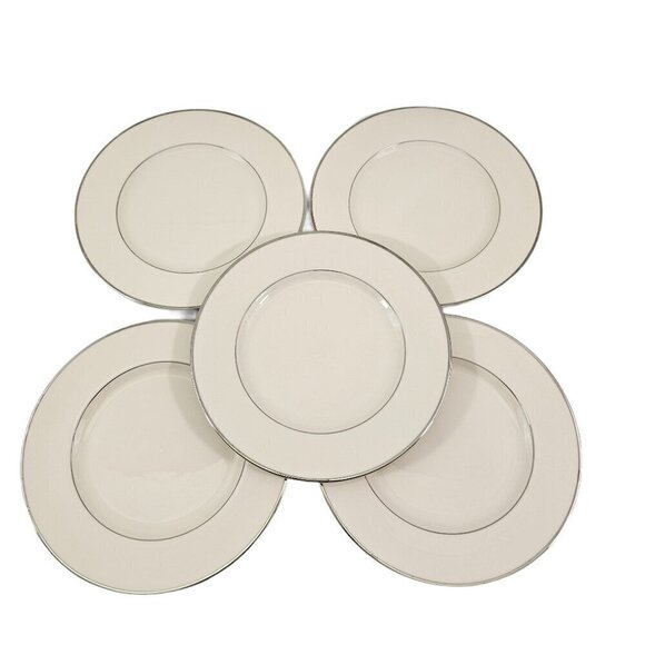 Royal Devon USA Simplicity Platinum 8 ¼” Salad Luncheon Plates – Set of 5 - Picture 1 of 16